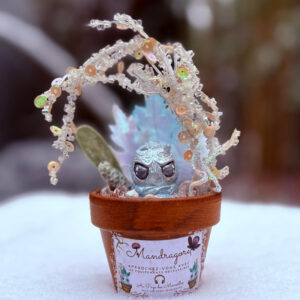 Mandragore des neiges