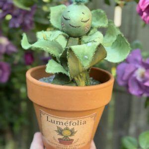 Luméfolia - la Mandragore protégée des Sourcifées