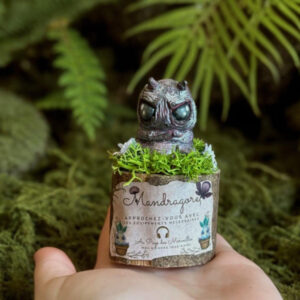 Mandragore