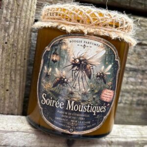 Soirée Moustiques