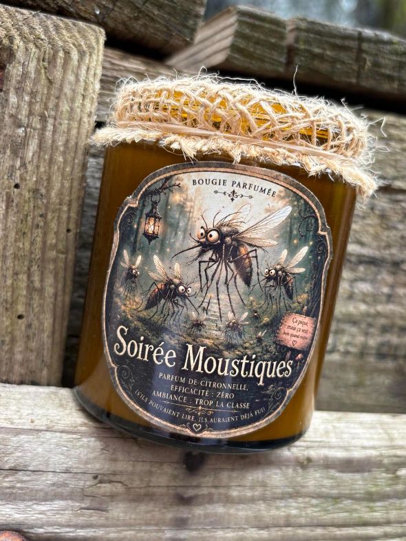 Soirée Moustiques